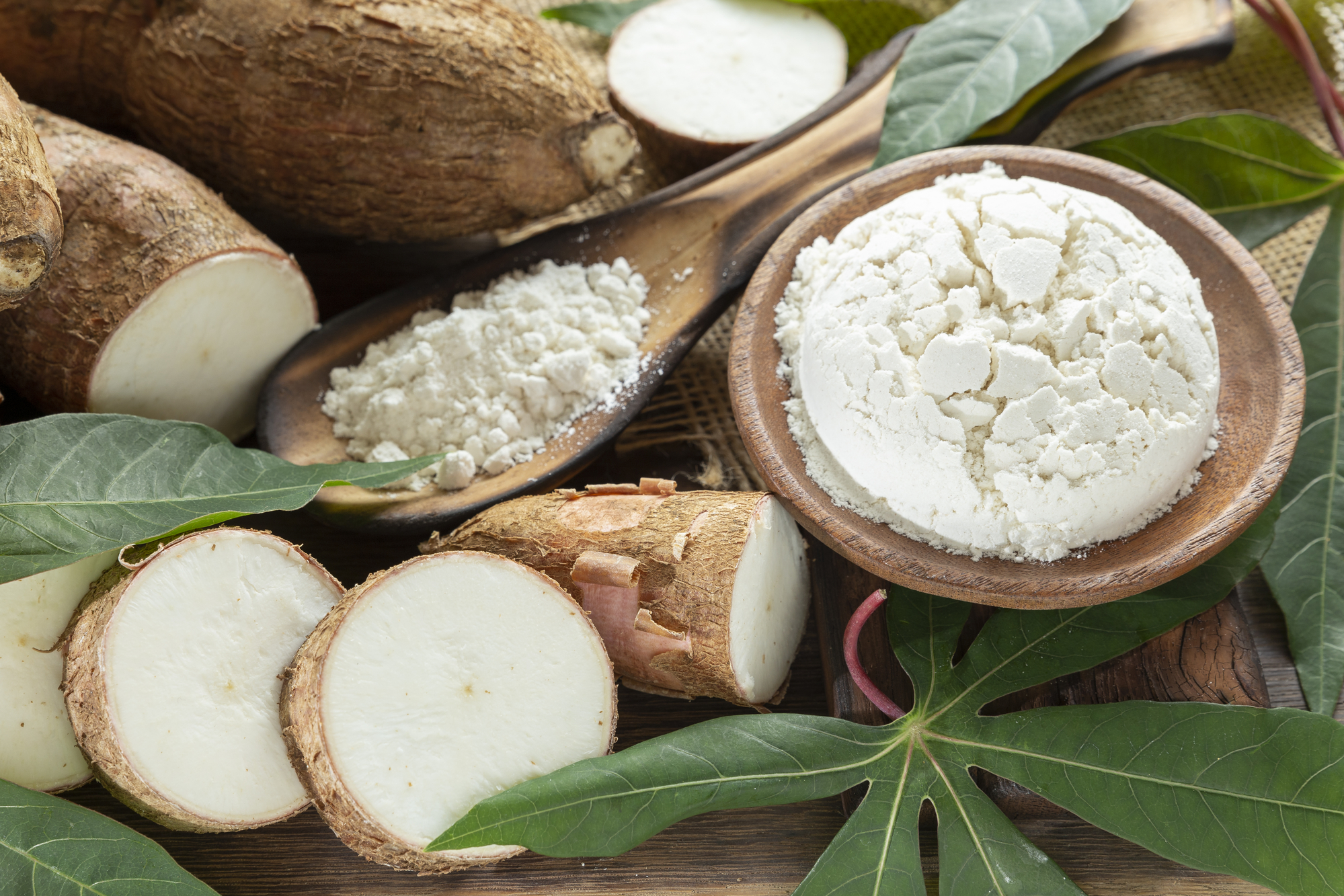 Radici e farina di cassava, manioca o yucca