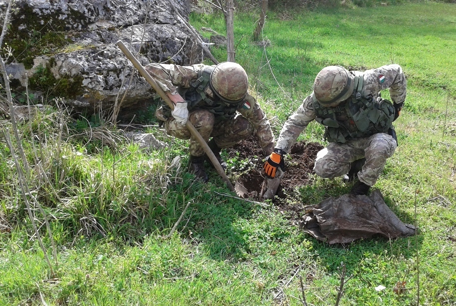 Stato Maggiore Esercito esercito italiano proposta di impiego per debellare la Peste suina