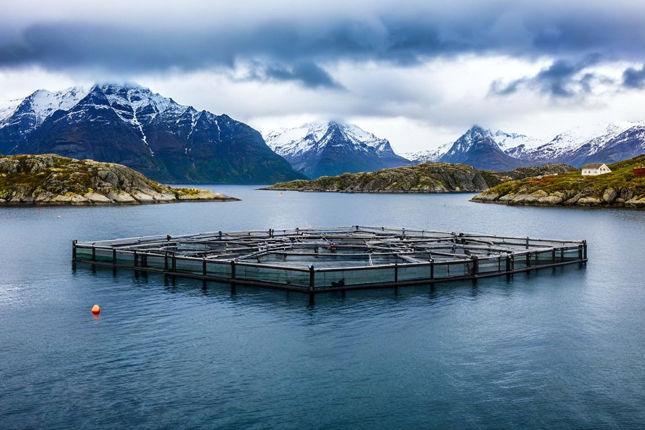 Allevamento di salmoni pesci pesce pescicoltura acquacoltura Depositphotos_773836446_XL (1)