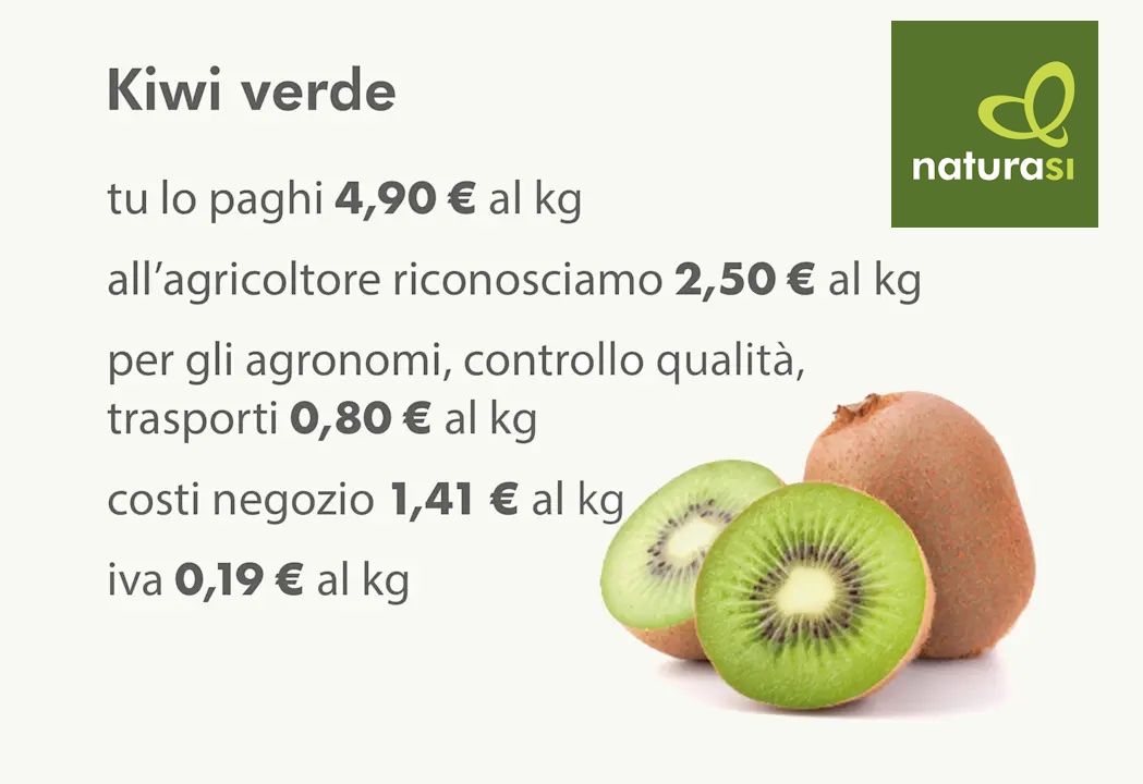 naturasi 2025 Gray_Kiwi copia