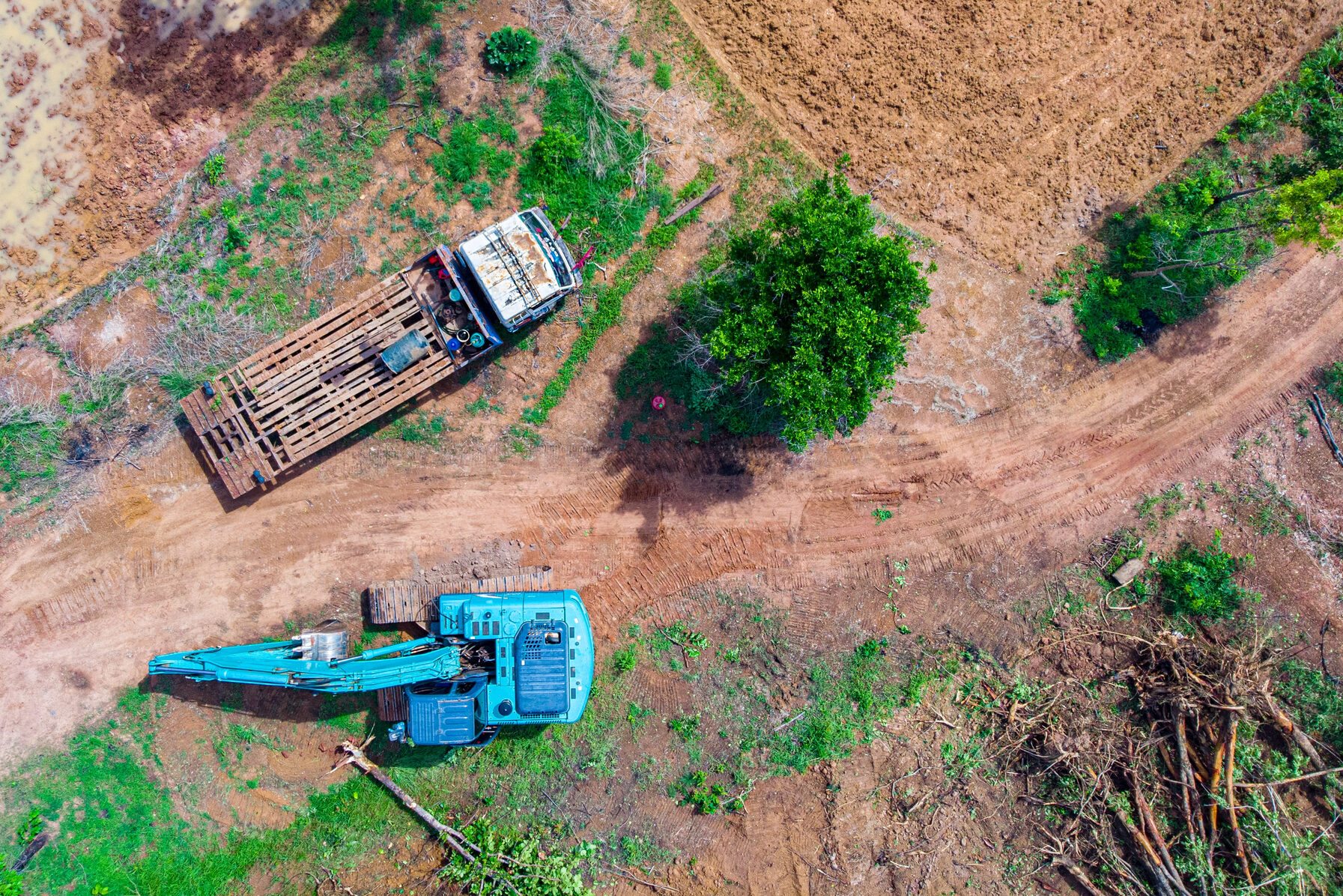 deforestazione disboscamento ambiente sostenibilità Depositphotos_581729462_L