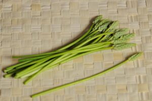 asparagi dei boschi Ornithogalum_pyrenaicum_-_asperges_des_bois Wikimedia Commons