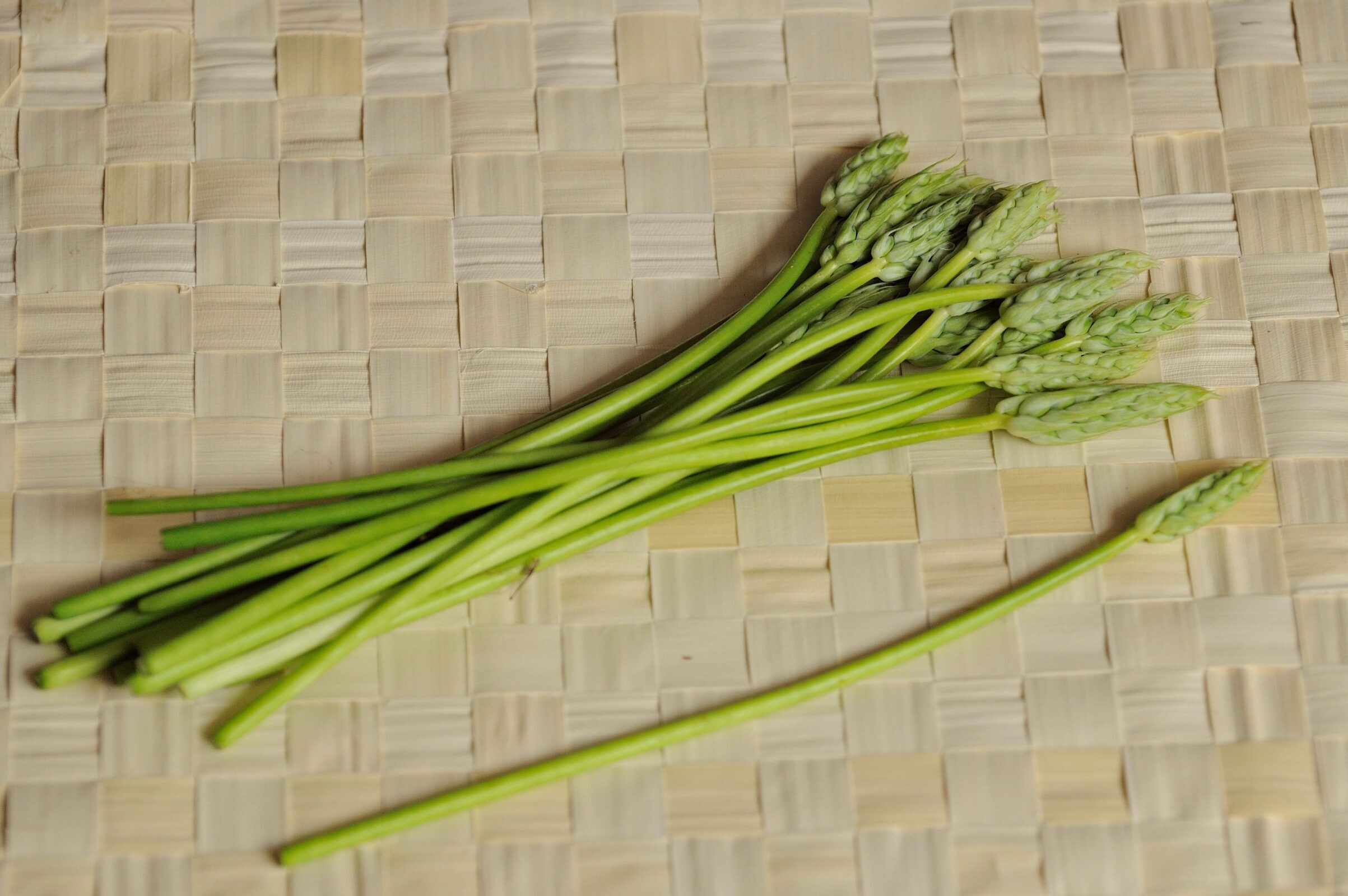 asparagi dei boschi Ornithogalum_pyrenaicum_-_asperges_des_bois Wikimedia Commons