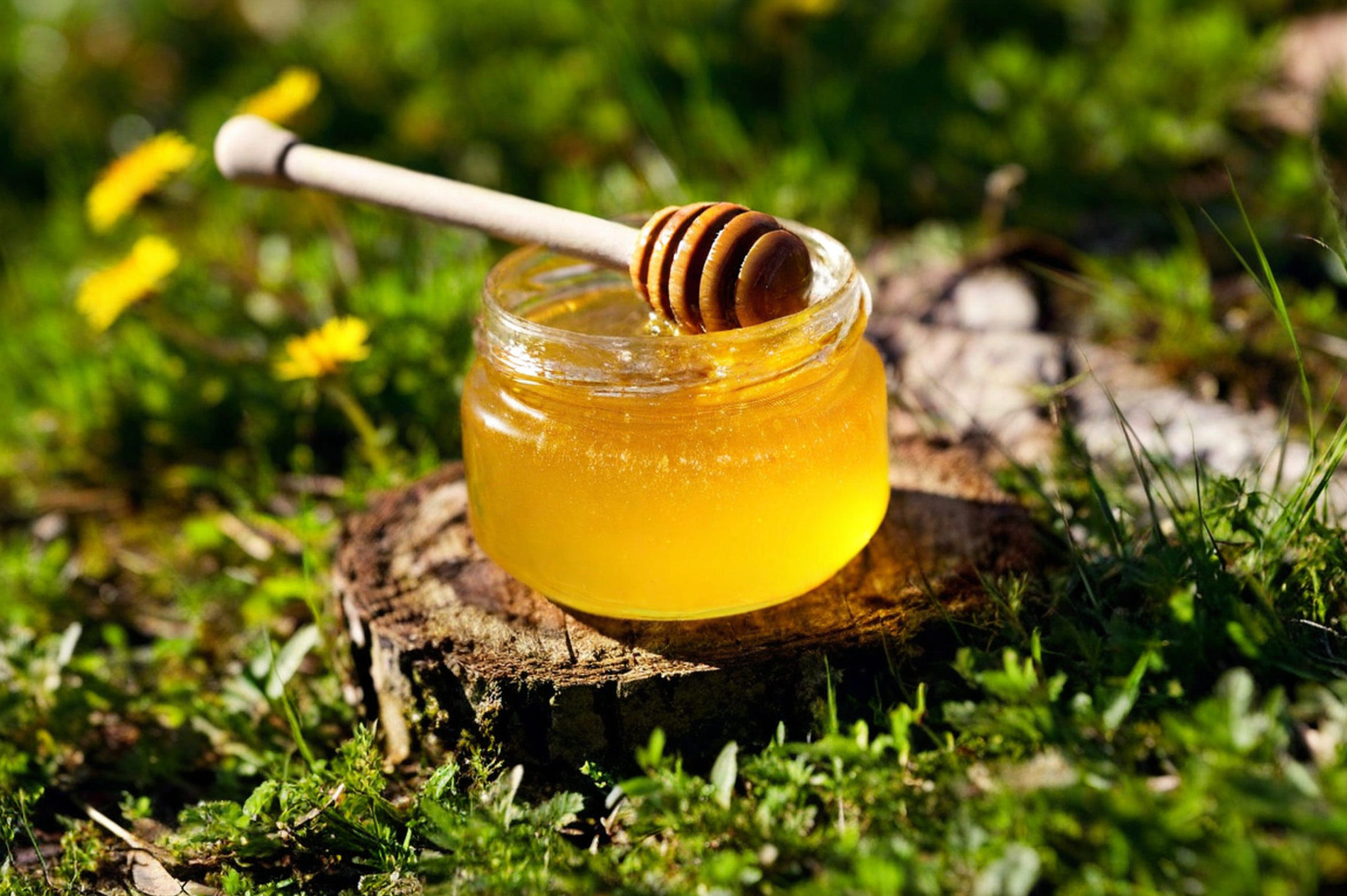 miele api zuccheri IA Depositphotos_804627210_XL