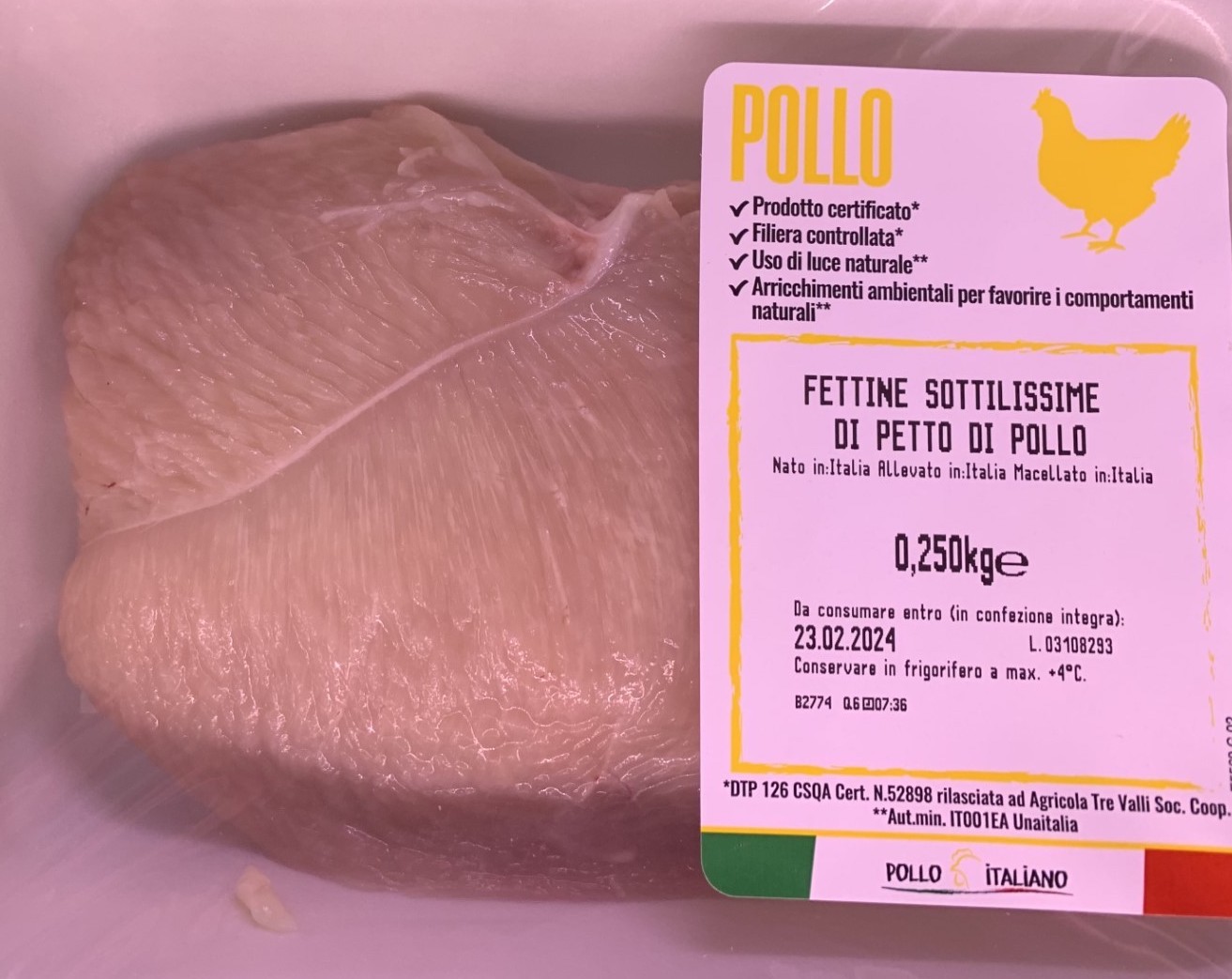 petto pollo