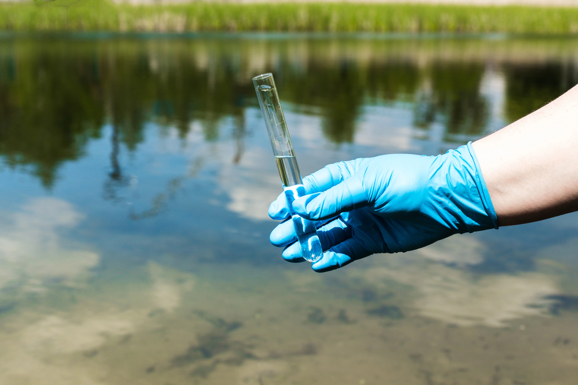 Una persona con guanto blu sulla mano tiene una provetta di acqua prelevata da un fiume o un laghetto; concept: inquinamento delle acque, PFAS, analisi
