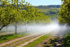 pesticidi campo di pere IA Depositphotos_812941634_XL