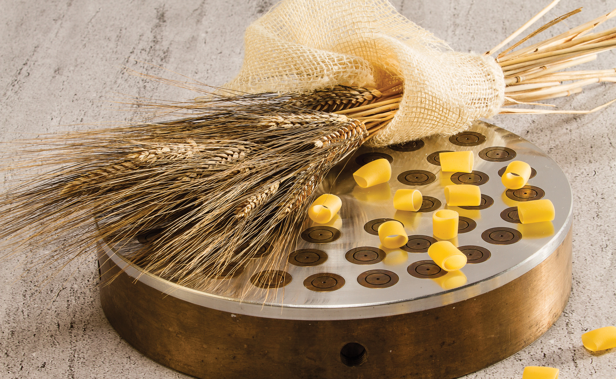 Il disco di una trafila per la produzione di pasta, con una mazzo di spighe di grano e della pasta; conecept: pasta al bronzo, trafilatura al bronzo