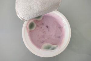 Equilibrio&Piacere yogurt greco mirtilli con muffa IMG20250624113113