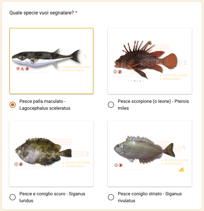 il modulo dell'ISPRA per segnalare le specie aliene del Mediterraneo