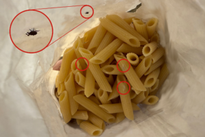 Insetti Sitophilus pacco di pasta