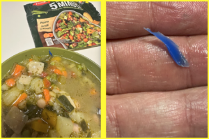 CORPO ESTRANEO PEZZEttino plastica minestra surgelata findus 2025