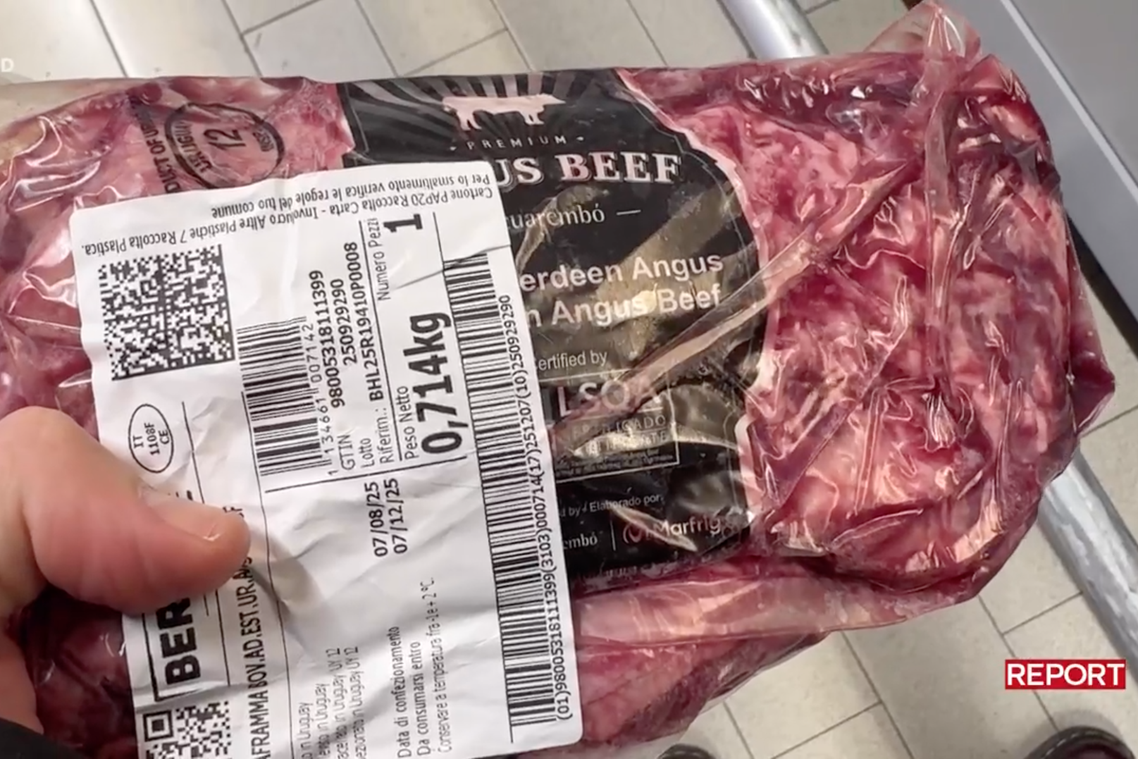 report bervini carne angus beef 2025 rai 3
