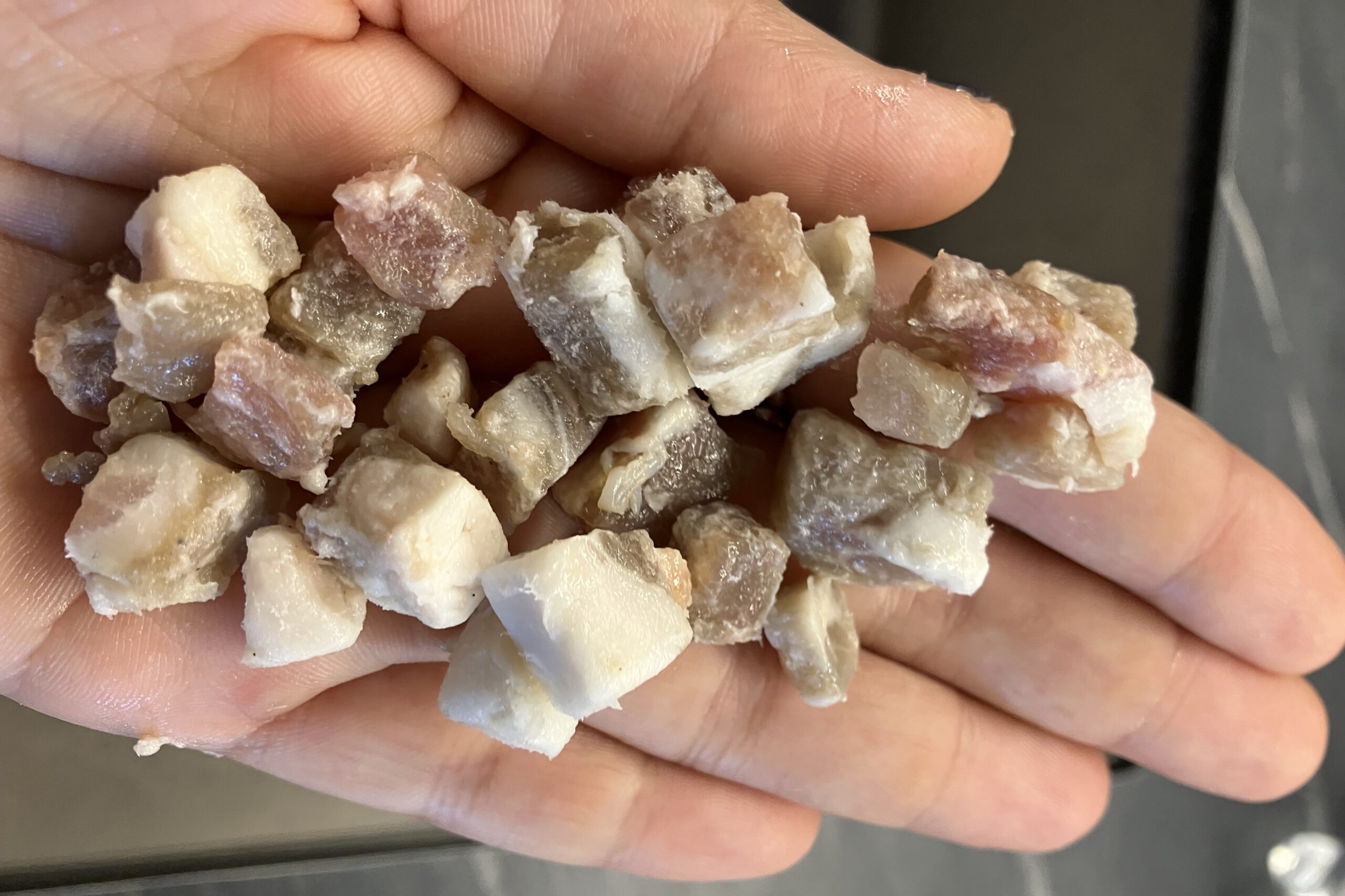 Pancetta Beretta annerita lettera 15.12.2025