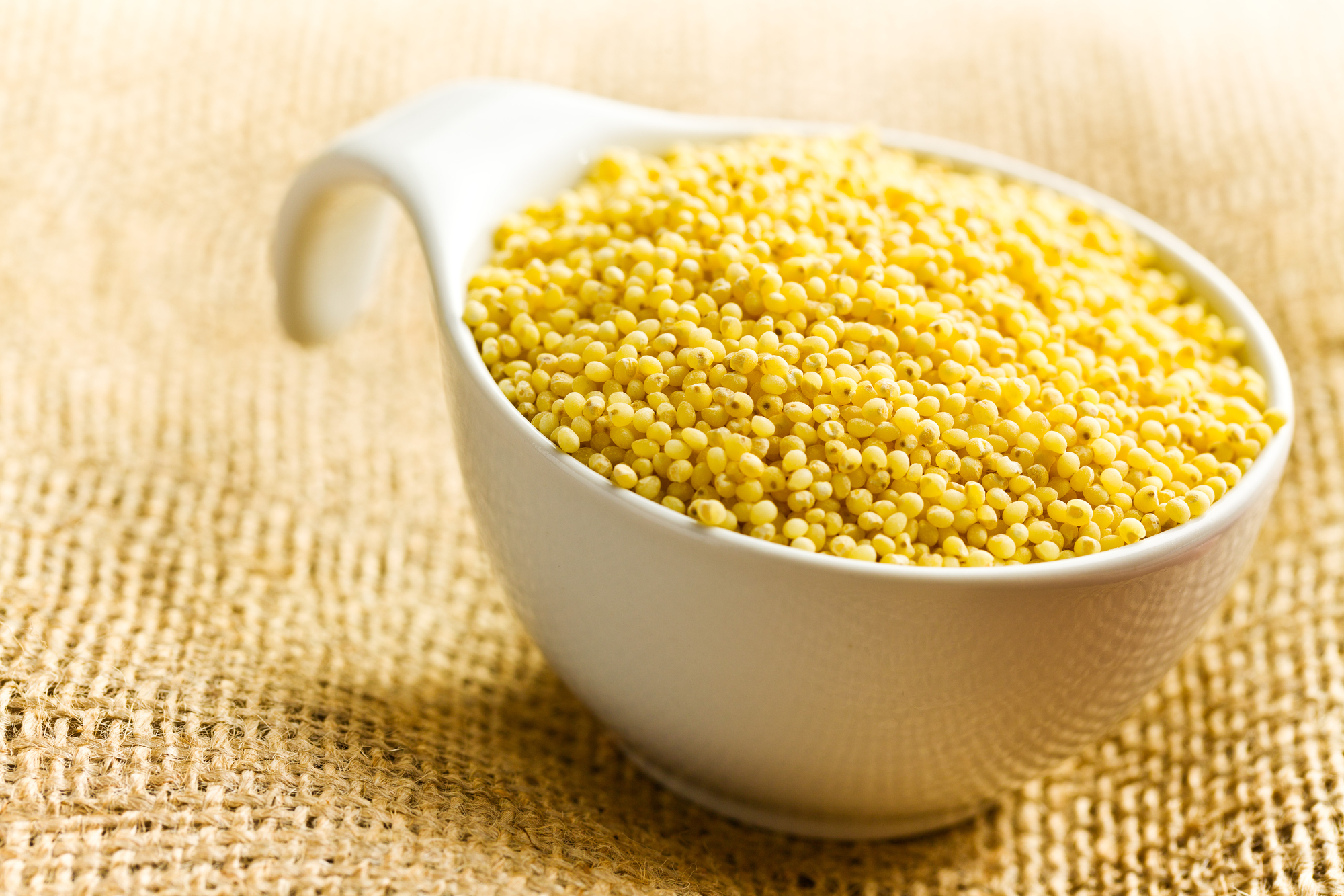Una ciotolina di miglio su tessuto grezzo