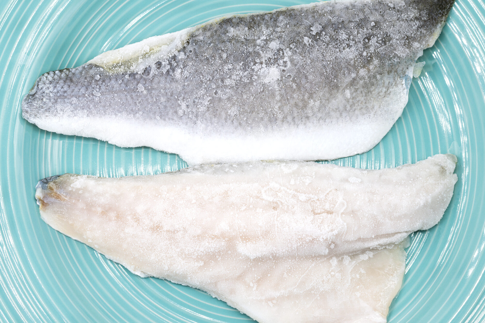 Due filetti di branzino surgelati su un piatto azzurro; concept: pesce surgelato, congelato