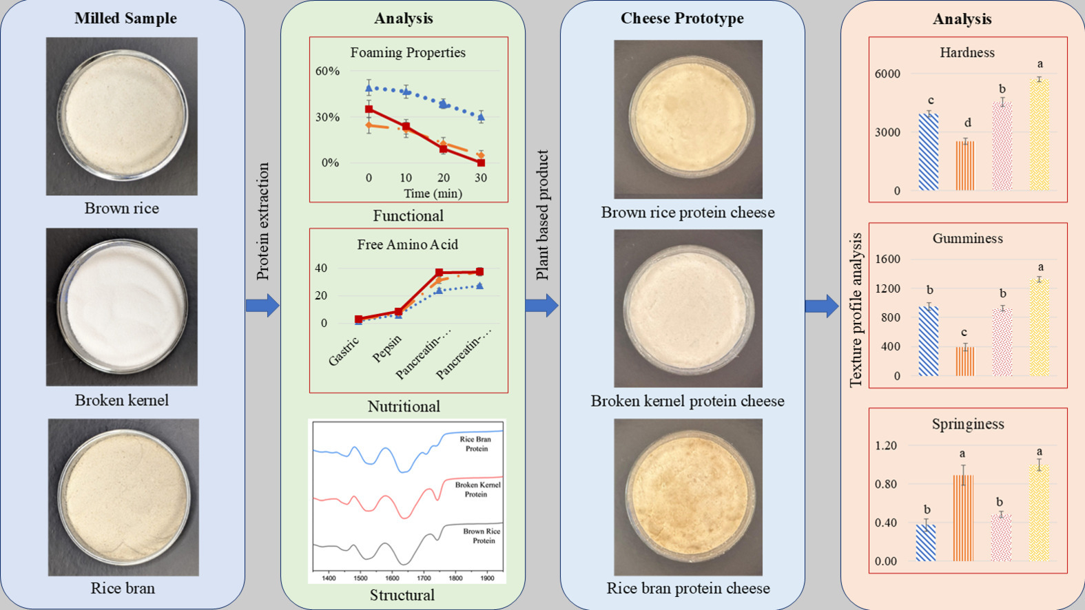 riso e formaggi di riso fornte: https://www.sciencedirect.com/science/article/pii/S266683352500334X?via%3Dihub Three shades of plant protein from a single rice cultivar: Insights into subunit profiles, molecular structures, functional and nutritional properties, and cheesemaking performance Author links open overlay panel Ruslan Mehadi Galib , Md Mahfuzur Rahman