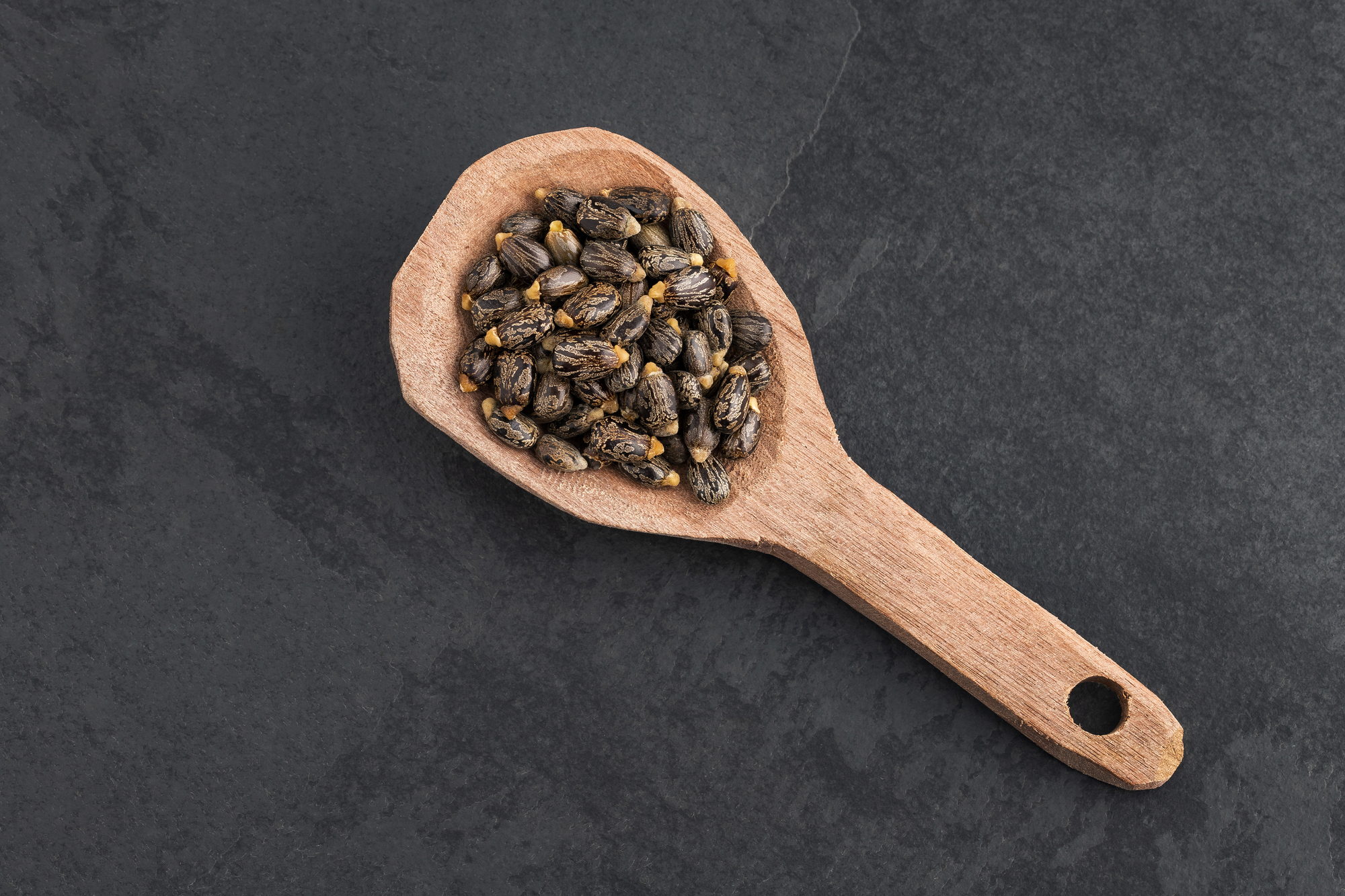 Semi di ricino su una paletta di legno, Ricinus communis; concept: ricina