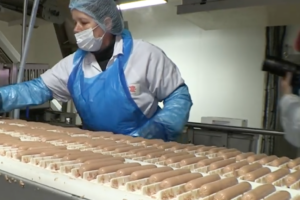 Carne separata meccanicamente foto ripresa da filmato francese